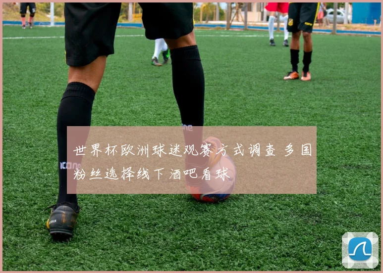 世界杯欧洲球迷观赛方式调查 多国粉丝选择线下酒吧看球